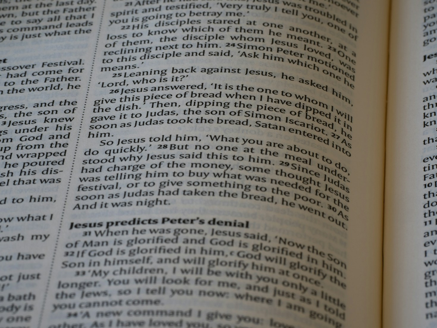 Why Every Writer Needs a Professional Editor